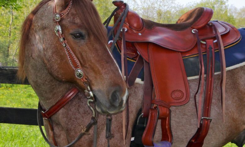 western-saddles-canada